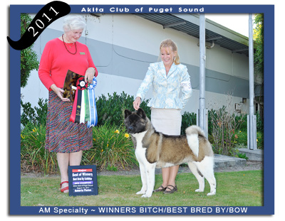 2011 ACPS PM  Winners  Bitch Best Bred By